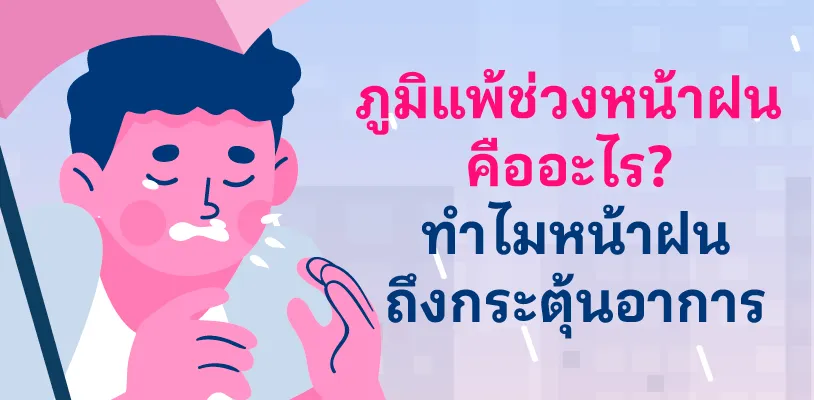 [con Seo] Blog ภูมิแพ้หน้าฝน หรือหวัด ต่างกันยังไง 02 Article